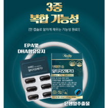 뉴일리 징코알티지오메가3 1박스 알티지오메가3 은행잎추출물 노르웨이산 정제어유 홍삼농축분말 대두레시틴, 2개