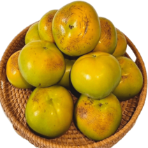 푸른잇농장 못난이 태추단감 2kg 중과 사이즈 (8-11과), 11개