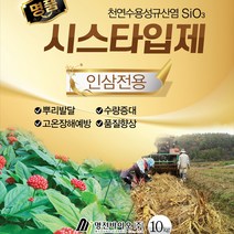 스마트농업 인삼 농사엔 시스타입제10kg 뿌리발달 수량증대 고온장해예방 모두싹 면역력높이는 명전바이오 시스타농법 식물영양제