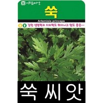 [워터트리몰] 쑥씨앗(10000립) 채소 꽃 종자 재배 씨앗 허브 나무 (A), 1개