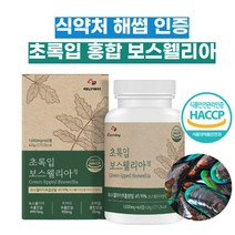 햇섭인증 뉴질랜드 초록 녹색 입 잎 홍합 보스웰리아 1개월 KBA AKBA 노인 연골 관절 영양제 추천 보스웰릭산 보수웰니아 비타민 B 1 2 C E 엽산 히알루론산 MBP