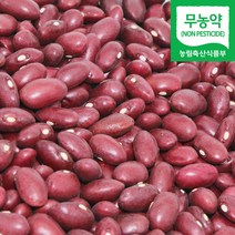 직송 국산 무농약 적강낭콩 빨간콩 붉은 강낭콩 홍대, 1개, 1kg