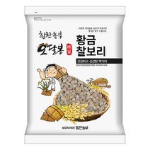 힘찬농부오달봉 2022년산 햇 황금찰보리 쌀찰보리 찰보리쌀 국내산, 1포, 10kg(5kg+5kg)