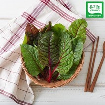 자연맛남 [자연맛남] 유기농 적근대 1kg