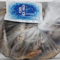 목포 참조기 생물조기 4kg 국산 침조기 1박스 100마리