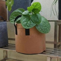 부직포화분 블루베리 140x30 텃밭 대파 키우기 옥상 플랜트박스 화분 베란다, 3화분10갤런-브라운