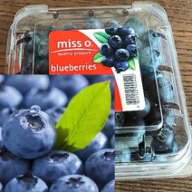 칠레 생 블루베리 생과 미국산 국산 생 블루베리 125g, 10팩, 10개