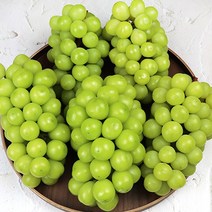 고당도 샤인머스켓 망고포도 샤인머스켓제철, 샤인머스켓 2kg