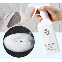 SDS_곰팡이제거제 창틀 벽곰팡이 베란다 1+1 벽지 방지제 결로 뿌리는 제로 화장실 벽면yza426, SDS_곰팡이제거제400ml1+1