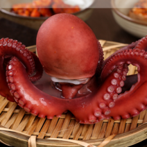 푸릇푸릇 통영 돌 문어 활문어 생문어 제수용 1kg 2kg 산지직송 돌 문어 숙회 용, 돌 문어 2kg, 1개