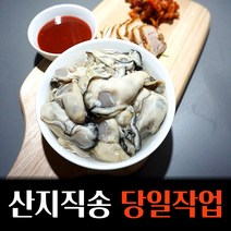 최상급 통영 생굴 당일채취 1kg, 3kg, 1개