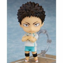 1300K 넨도로이드 699 이와이즈미 하지메 하이큐, 단품