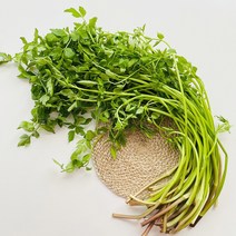 청도 한재 미나리 1kg 청도미나리 친환경 무농약, 청도 한재 무농약 미나리 1kg