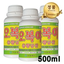 오복이 500ml 친환경 농자재 수용성 유황규산 영양제 비료 탄저병 코시팜스