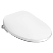 American Standard 8019A60GPC.020 아쿠아워시 2.0 수동 SpaLet 비데 시트 화이트, Electric