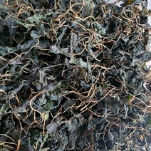 자연산 광양 백운산 고사리 햇고사리 말린고사리 건고사리 건취나물 건토란대, 건취나물100g