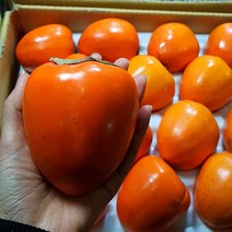 대봉 대봉감 홍시, 대봉감 10kg 중과 (31-40과)