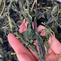 산지직송으로 더 신선한 국산 제주도 건취나물 200g 400g, 제주 애월 건취나물 400g, 1개