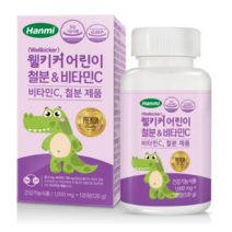 한미헬스 웰키커 어린이 철분 앤 비타민C, 120정, 21개