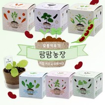 팜팜농장 모종키우기 6종 / 새싹기르기 모종키우기 씨앗 꽃 재배, 고추