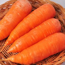 푸르젠 제주 흙당근 5kg (왕), 단품없음