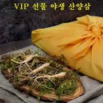 경성건강원 야생 산양삼 자연산 장뇌삼 산양산삼 먹는법 가격 강원도 횡성 정품 진세노사이드 효능 VIP 선물 세트, 2박스, 12뿌리