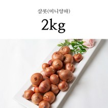 네덜란드 샬롯 미니 양파 1kg 2kg, 샬롯 (미니양파) 2kg