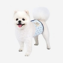 패턴디자인 수컷 강아지 기저귀 매너벨트.패리스독, 화이트M, 상세설명 참조