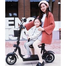 전기스쿠터 전기 전동 미니 소형 출퇴근용 스쿠터, 48V, 2인승 블랙 25-30km