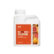 흥국에프앤비 맘스리얼베이스 자스민 자몽 1kg 6개(1박스), 아이스박스포장