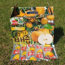 향토박이 복숭아즙 110ml 50포 무설탕 복숭아 영덕 과일즙, 배즙 1박스(50포), 1개