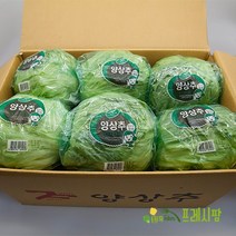 [프레시팜] 양채류 국내산 포장 양상추 6통