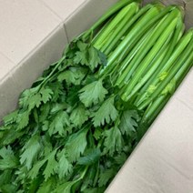 [산정] 싱싱한 국내산 샐러리, 국내산 샐러리 3kg