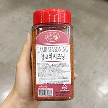 신영 양꼬치시즈닝 250g x 1개, 단품