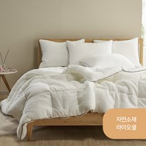 자연소재 라이오셀 프라하 차렵 S/Q 유칼립투스 사계절이불 차렵이불