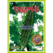 장여주씨앗 10립
