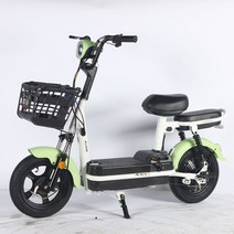 PAS 전기 자전거 자토바이 오토바이 전동 모빌리티, 48V, 12ah, 옵션10