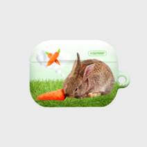 앤커버 CARROT LOVER RABBIT(에어팟시리즈)