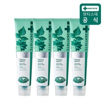 덴티스테 뉴 플러스화이트 치약 튜브형, 4개, 200g