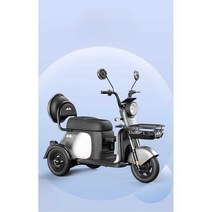 삼륜 전동 스쿠터 동반 애견 전동자전거 성인용 세발, 600W 모터 (48V) 12ah 납산