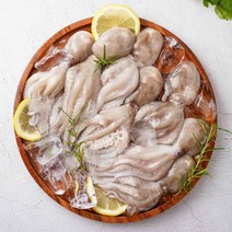 농가살리기 활 쭈꾸미 알배기 서해안 생물 당일조업 1kg, 1개