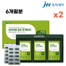 [중외제약] 징코 앤메모리 90캡슐 3개월분 은행잎 추출물 기억력 개선 도움 혈액 순환 혈행 개선 도움 부모님 영양제 알약케이스 포함, 2박스
