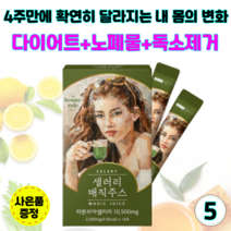 샐러리매직주스 디톡스 클렌즈주스 몸속노폐물 독소제거 해독주스 체중 피부 건강 관리 단기 다이어트-사은품증정, 5개(2.5gx70포)