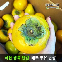 이츠올릿 태추 부유 단감 3kg 15~20과 진영 대추 창원 청도 창녕 땡감