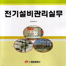 NSB9788963541600 새책-스테이책터 [전기설비관리실무] ---태영문화사-김경화 지음-전기설비-20130730 출간-판형 188x257(B5)-, 전기설비관리실무