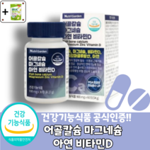 건강기능식품 인칼슘앱솔브 어골칼슘 앤 마그네슘 잇몸영양 뼈건강, 60정, 4개