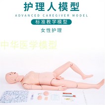 심폐소생술 연습 교육자료 인형 모형 모양 인공호흡, 관절 나사 고정 여성 간호사