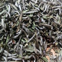 백호은침 백차 은침 고품 특장