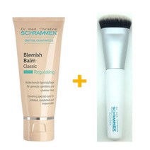 슈라멕 블레미쉬 밤 클래식 30ml 1개 +전용브러쉬1개, 단품, 단품