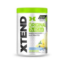 BCAA 파우더 블루베리 레모네이드 아미노산이 들어간 운동 후 음료 7g BCAAs 25인분, 13온스(1개 팩)